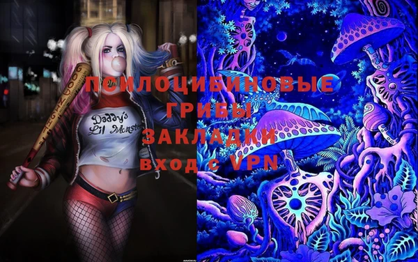стафф Аркадак